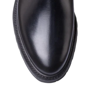 Ivy